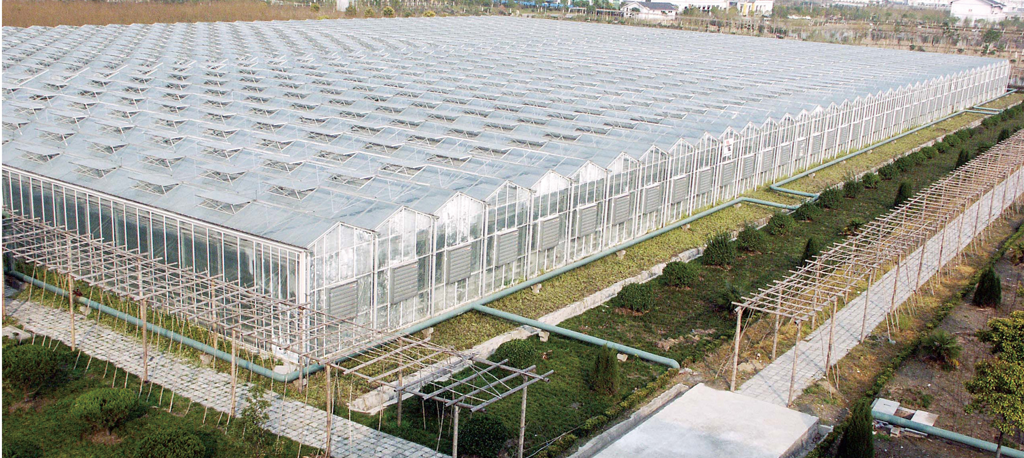 ��֬��������